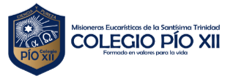COLEGIO PIO XII